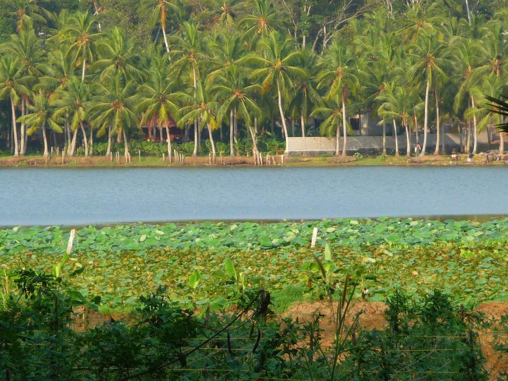 Ganesh Ayurveda Holiday Home Apartment Kovalam Zewnętrze zdjęcie